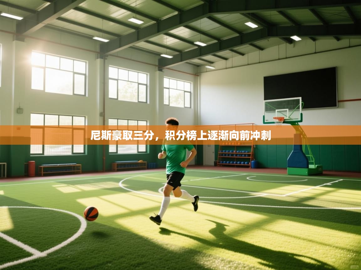 尼斯豪取三分,积分榜上逐渐向前冲刺 第2张